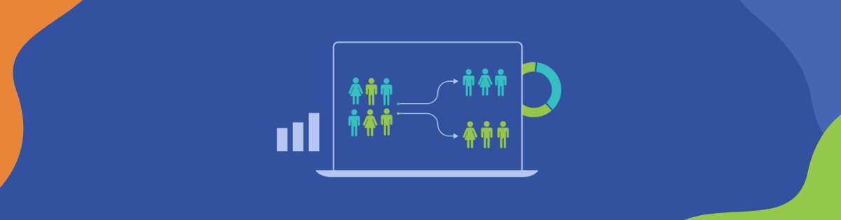 Customer segmentation software